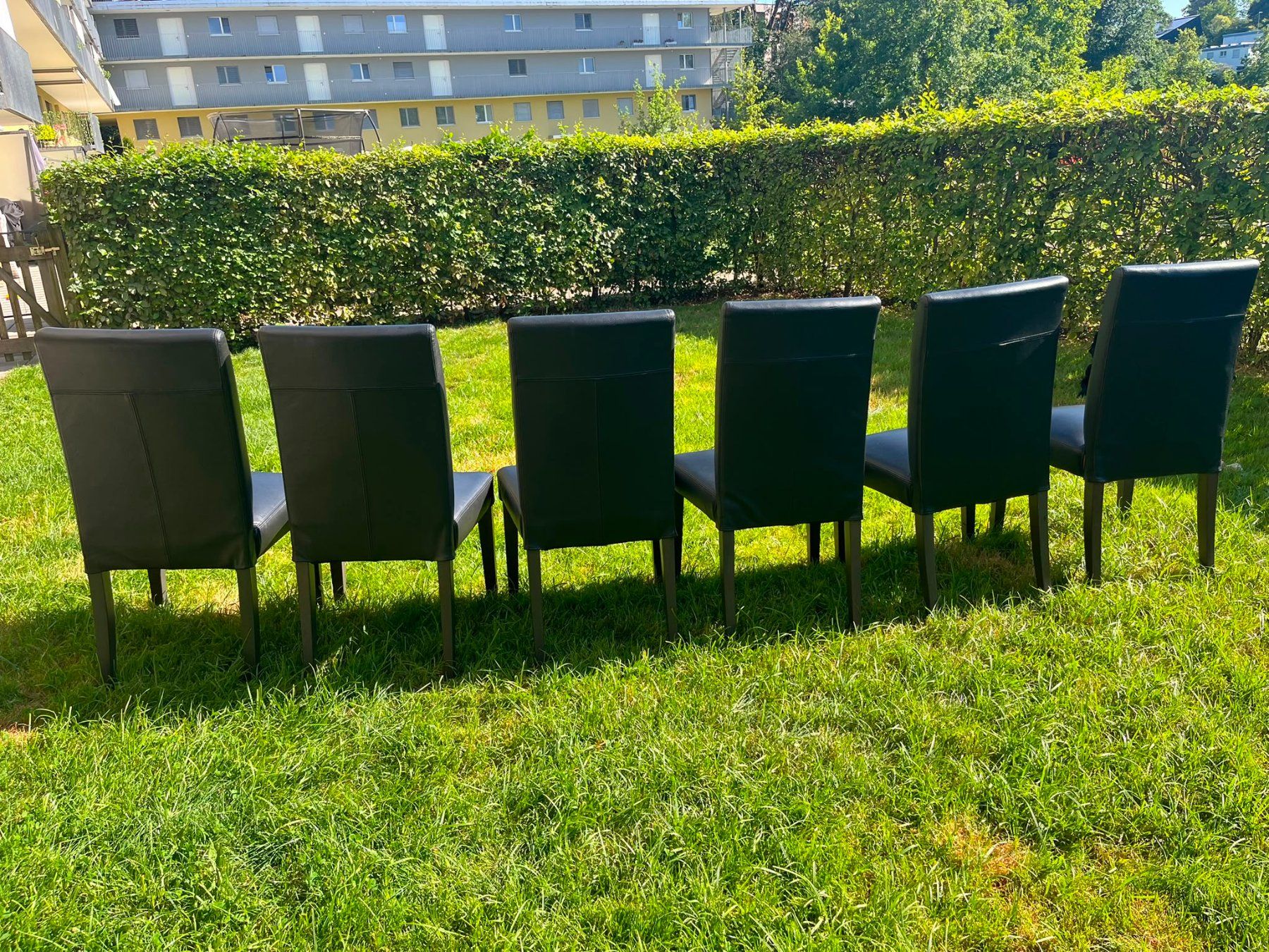 Ikea Sedie: 6x IKEA Henriksdal Stuhl echt Leder – Usato da Wil SG venduto da Klicks 7