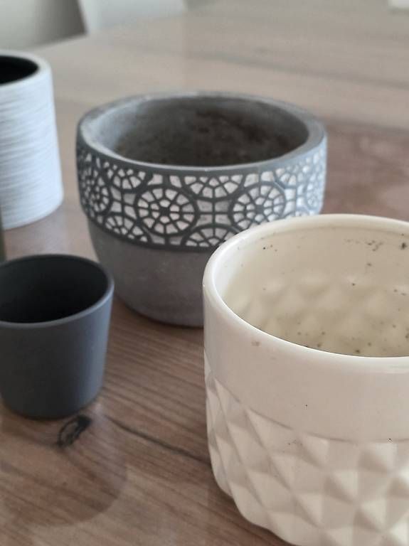 Pots de fleurs: Pflanzentöpfe zu verkaufen – D'occasion à Ebikon par Automaus 3