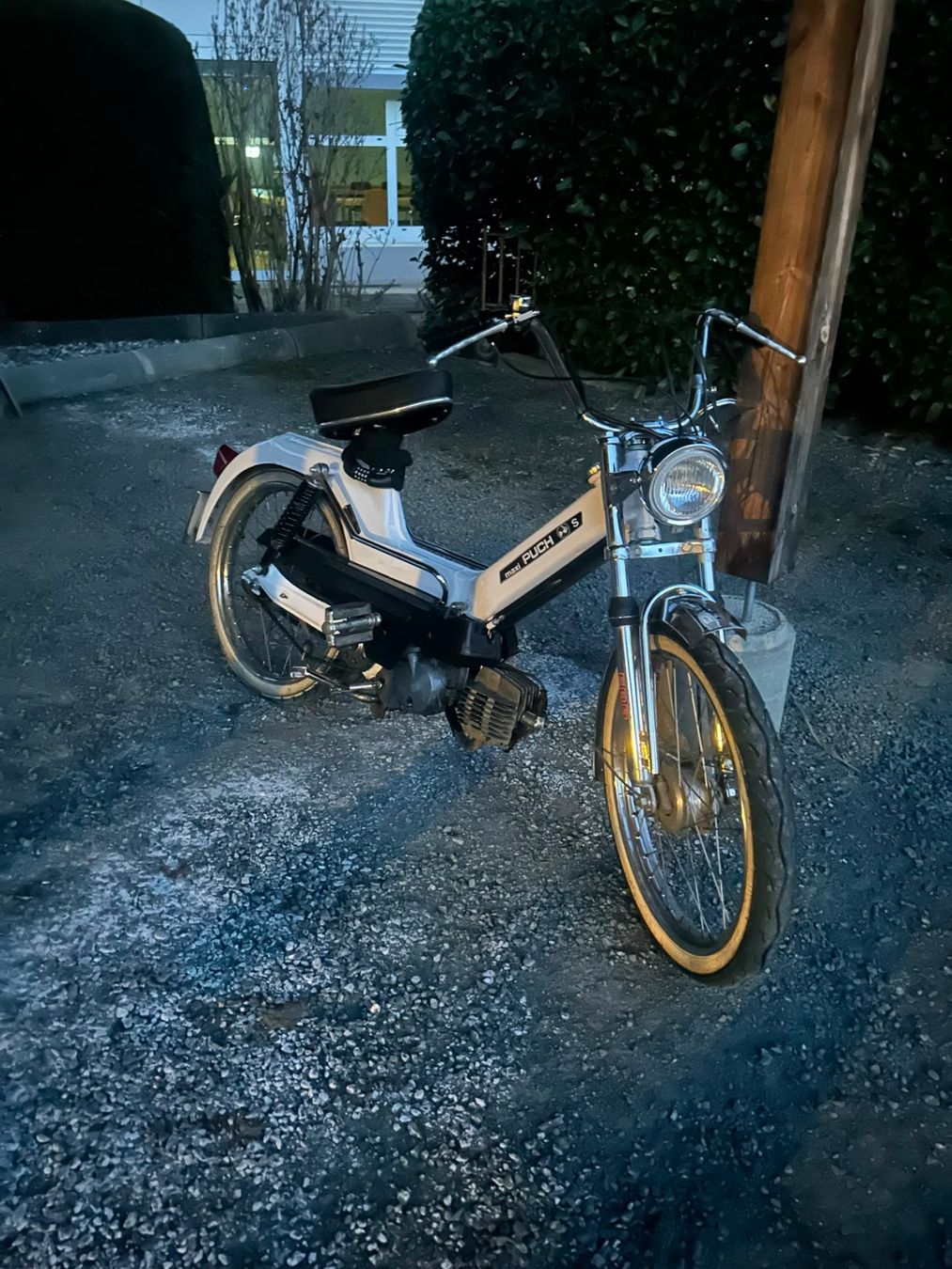 Puch Mofas: Puch Maxi S weiss – Gebraucht aus Heerbrugg von Manuela.Gschwend 7