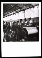 Fotografie Douala / Kamerun, Fabrikarbei