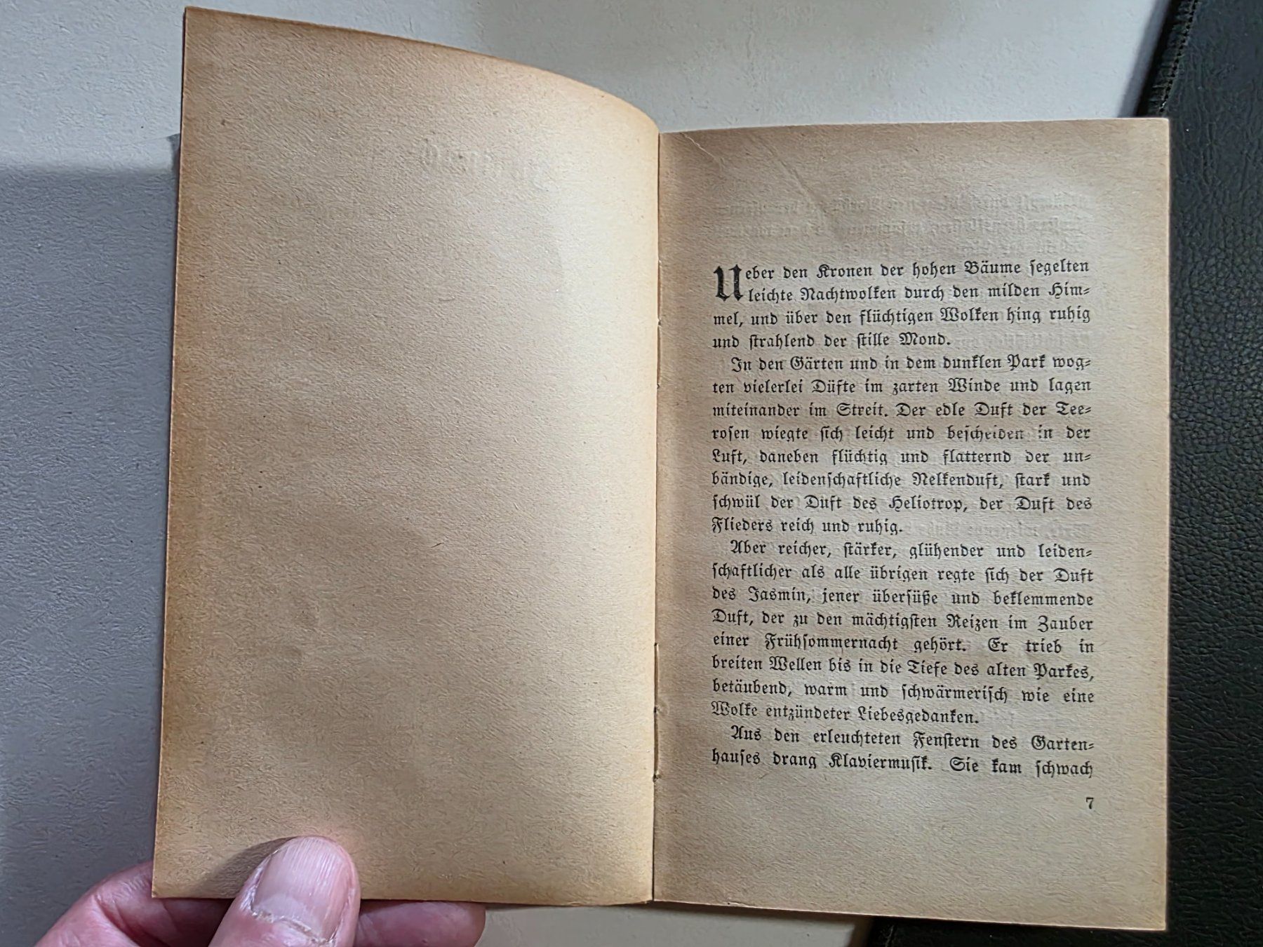 Libri: Hermann Hesse - Am Weg - 1916 – Usato da Walterswil BE venduto da Lonitti 4
