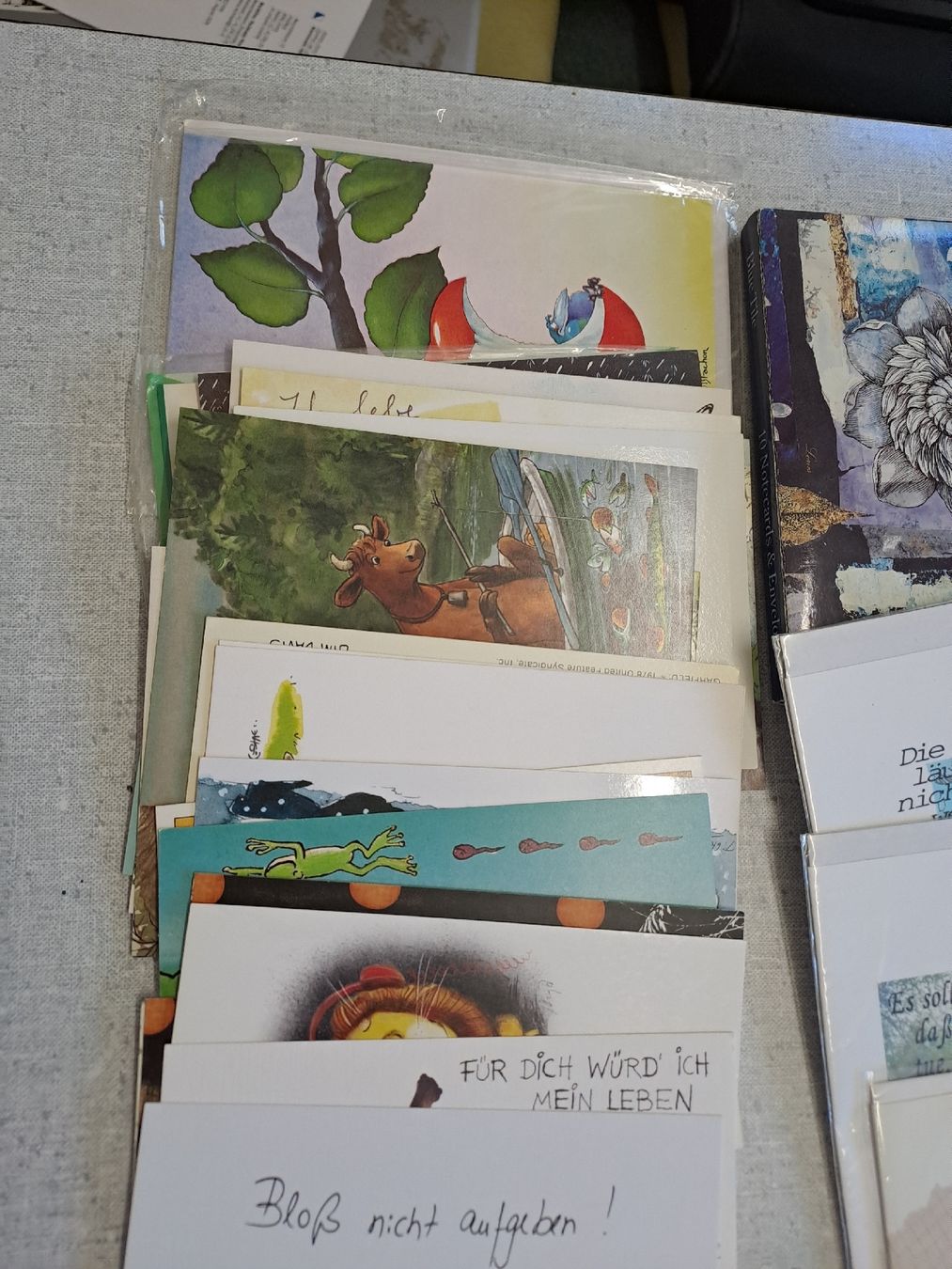 Cartoline: Restposten Kartenmit Couvert Postkarten – Nuovo (secondo la descrizione) da Uznach venduto da Walaylatiere 2