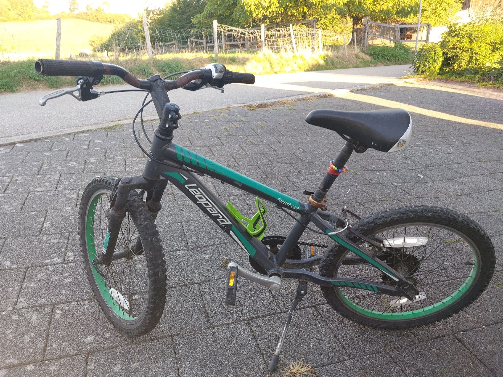 Leopard Biciclette: Kinderfahrrad Leopard Forest Cat gebraucht mit Flugrost – Usato da Lotzwil venduto da Snoubi01 1