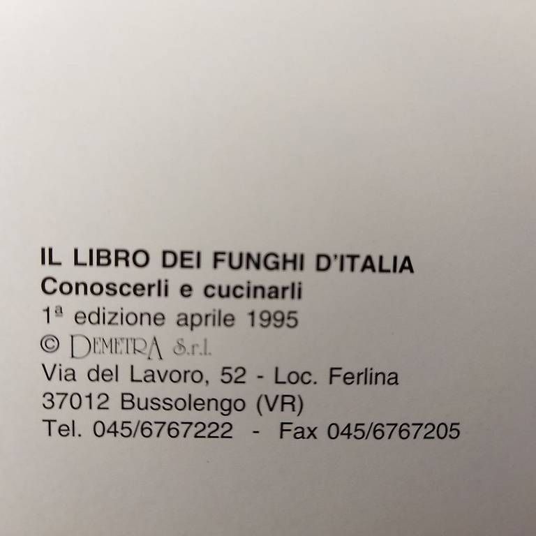 Libri: Il Libro Dei Funghi D`italia - Antonio Testi – Usato da Kollbrunn venduto da Rompecabeza 2