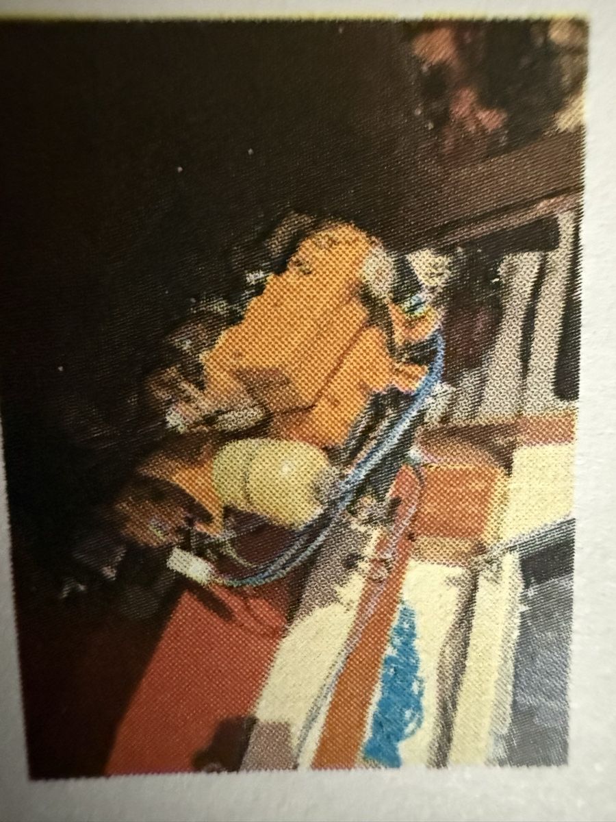 Thoma Boote: Fischerboot Thoma 600 – Gebraucht aus Widnau von as6558 7