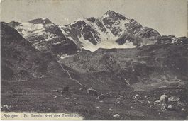 Splügen  -  Piz  Tambo  von  der  Tamboalpe