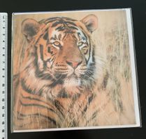 Karte mit Tigerfoto 16x16 cm NEU, innen leer, für Liebhaber