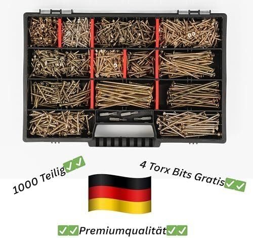 Tutti gli attrezzi: XXL Sortiment 1000-teilig Torx Antrieb Spanplattenschrauben – Nuovo e nell'imballaggio originale da Hundwil venduto da Stallone5 3