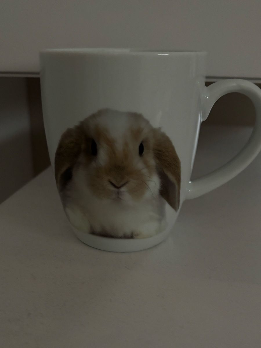 Migros Tazze: Tazza coniglio – Nuovo (secondo la descrizione) da Losone venduto da Tilly-nb7t 1
