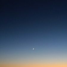 Profile image of _Celine99_
