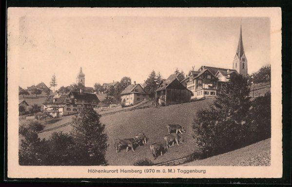 Cartoline postali: AK Hemberg, Gesamtansicht, 1924 – Usato da Berlin venduto da bartko-reher