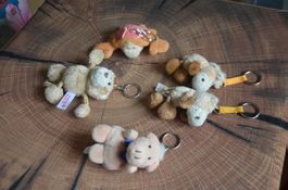 NICI - 5 STUCK PORTE CLEE