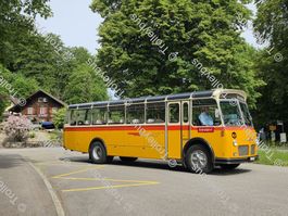 Postauto Postkarte FBW/Gangloff  C50U  P24154         BTM093