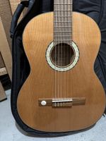 Gitarre 