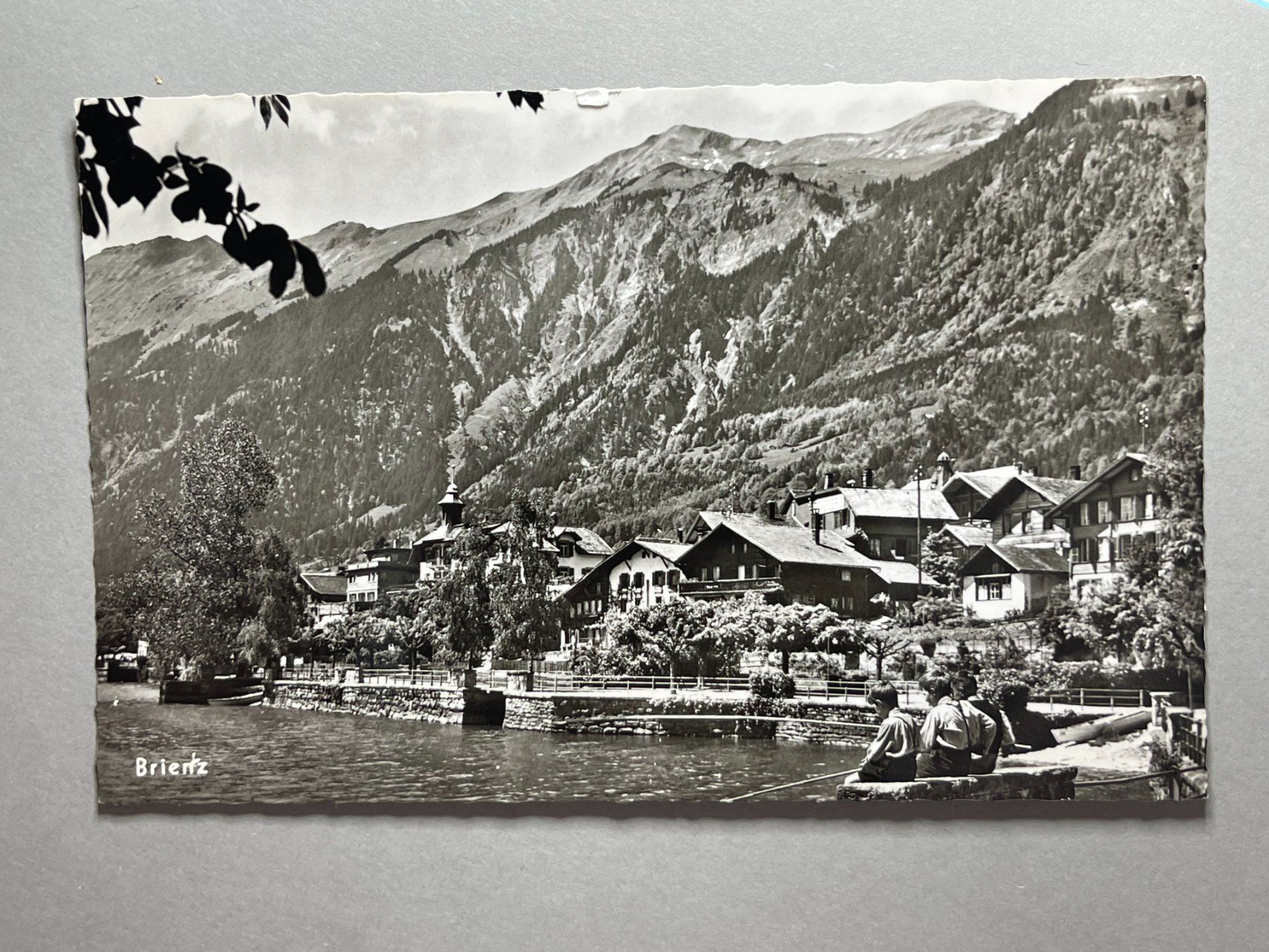 Cartoline postali: Brienz – Usato da Steg VS venduto da danwer74