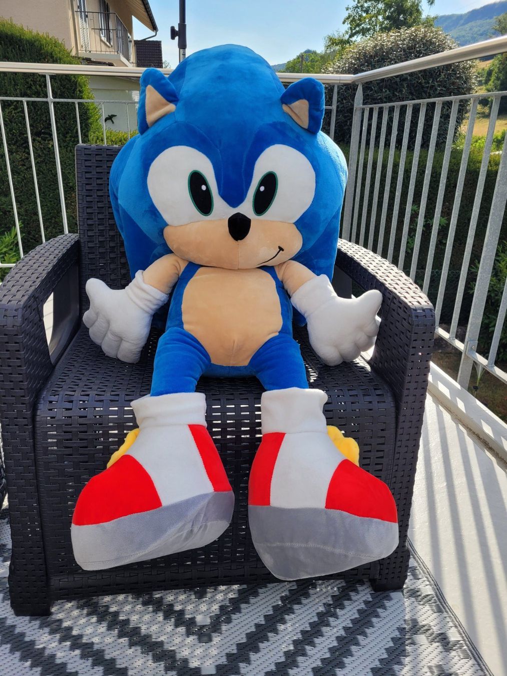 Alle Dekorationen: Plüsch Tier Sonic 95 cm – Neu (gemäss Beschreibung) aus Balsthal von Marche 4