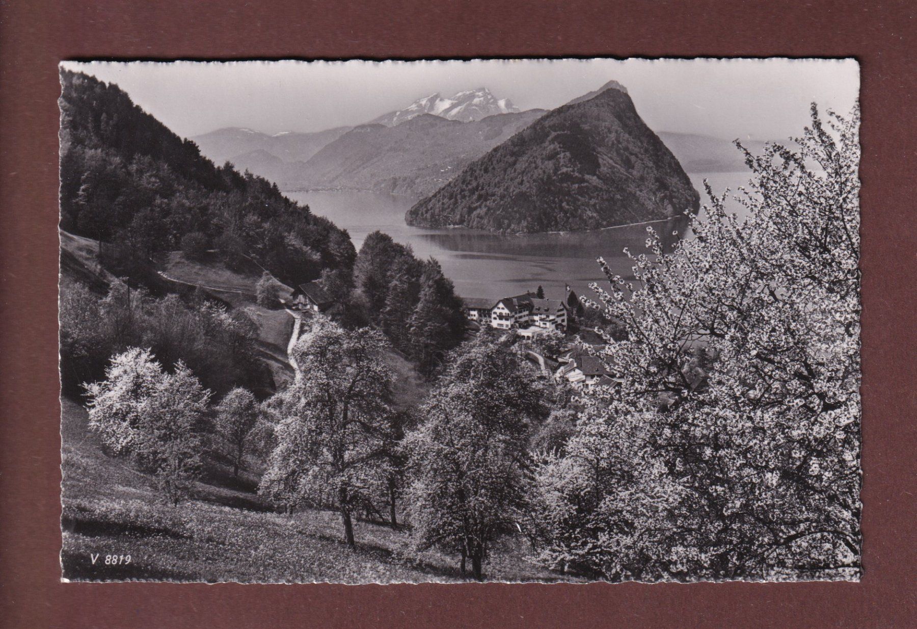 Ansichtskarten: VITZNAU - Ferienheim SMUV – Gebraucht aus Pully von nicecards-shop