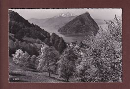 VITZNAU - Ferienheim SMUV
