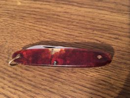 VICTORINOX - VICTORIA - Excelsior - Sackmesser - Schildpatt