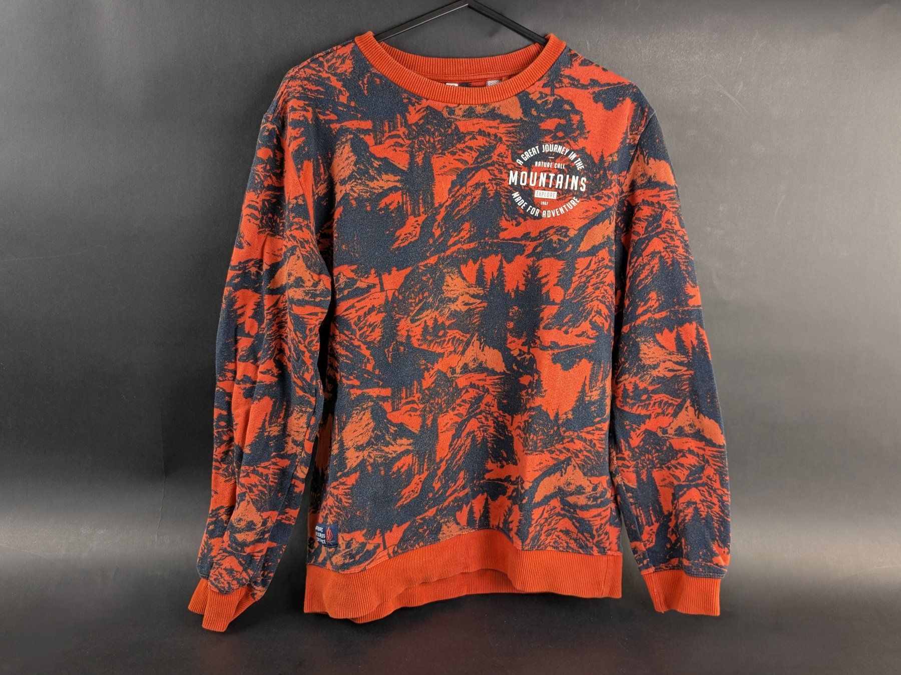 We Maglioni & Felpe: WE Jungen Sweater, Pullover Gr. 158/164 – Usato da Dintikon venduto da Restwert_Dintikon 1