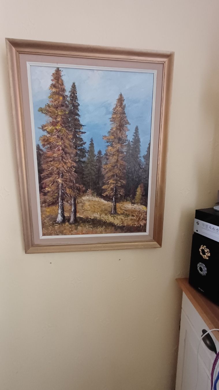 Dipinti: Schönes Naturbild Handgemalt  – Usato da Flawil venduto da Pinkmalibu 7
