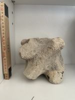 Dekorativer Naturstein mit organischer Form