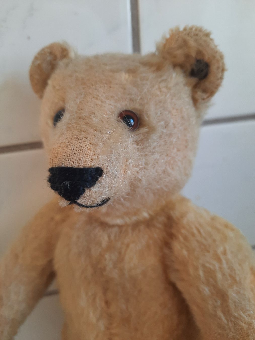 Steiff Spielzeuge: STEIFF, ancien de 1920. Avec son BOUTON – Gebraucht aus Le Locle von marylise01 2