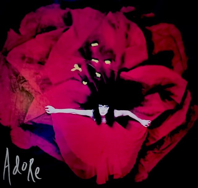 Dischi in vinile: The Smashing Pumpkins - ADORE - Limited Vinyl – Nuovo (secondo la descrizione) da Erlinsbach SO venduto da 400_n956