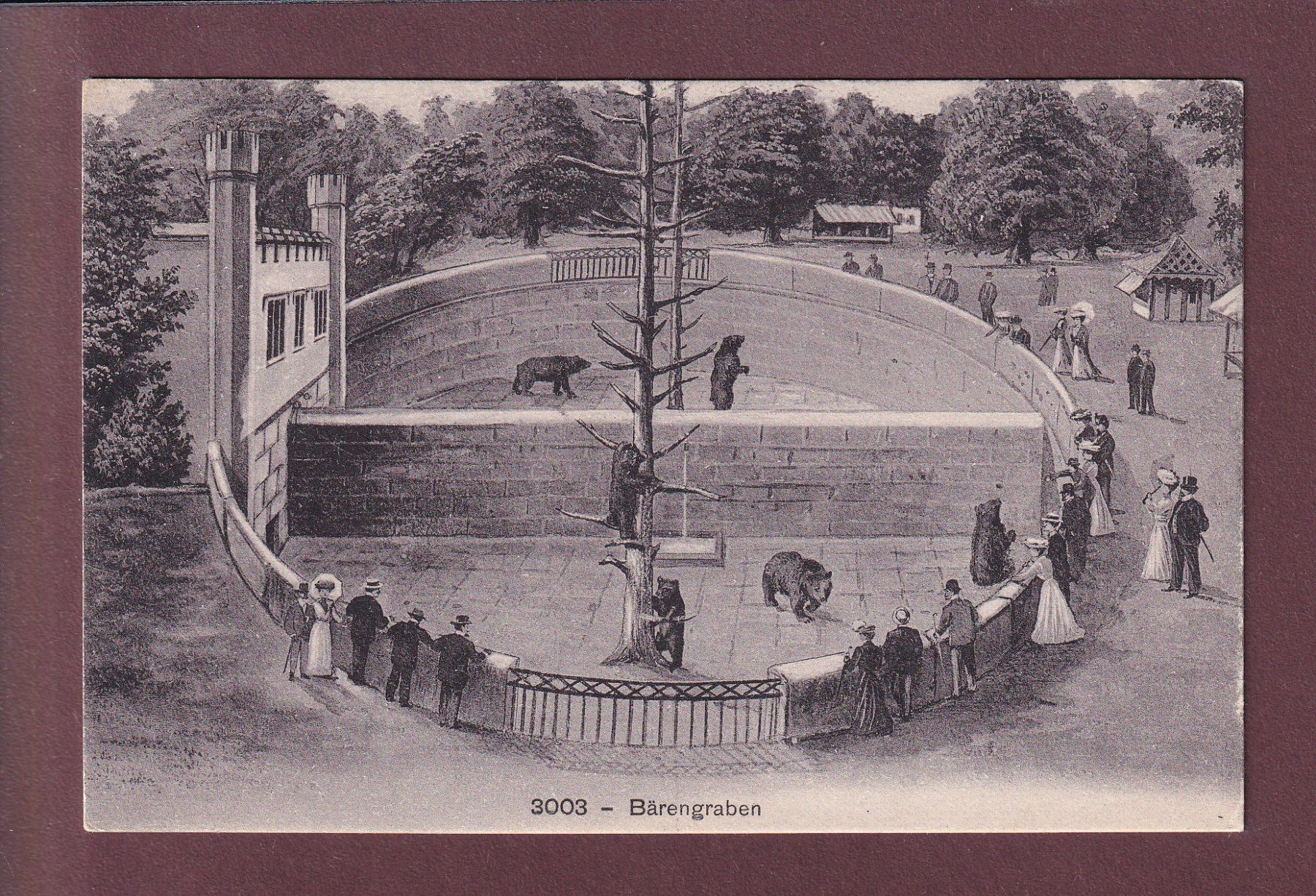 Cartes postales: BERN - Bärengraben – D'occasion à Pully par nicecards