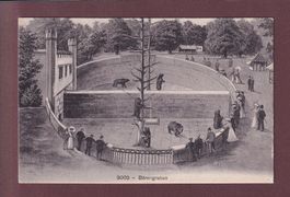 BERN - Bärengraben