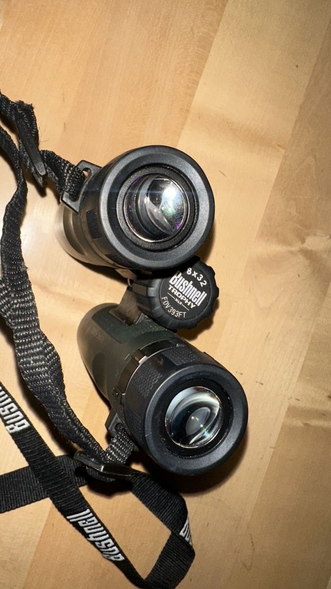 Binocoli: Fernglas Bushnell 8x32 – Usato da Zürich venduto da stu_g8dx 2