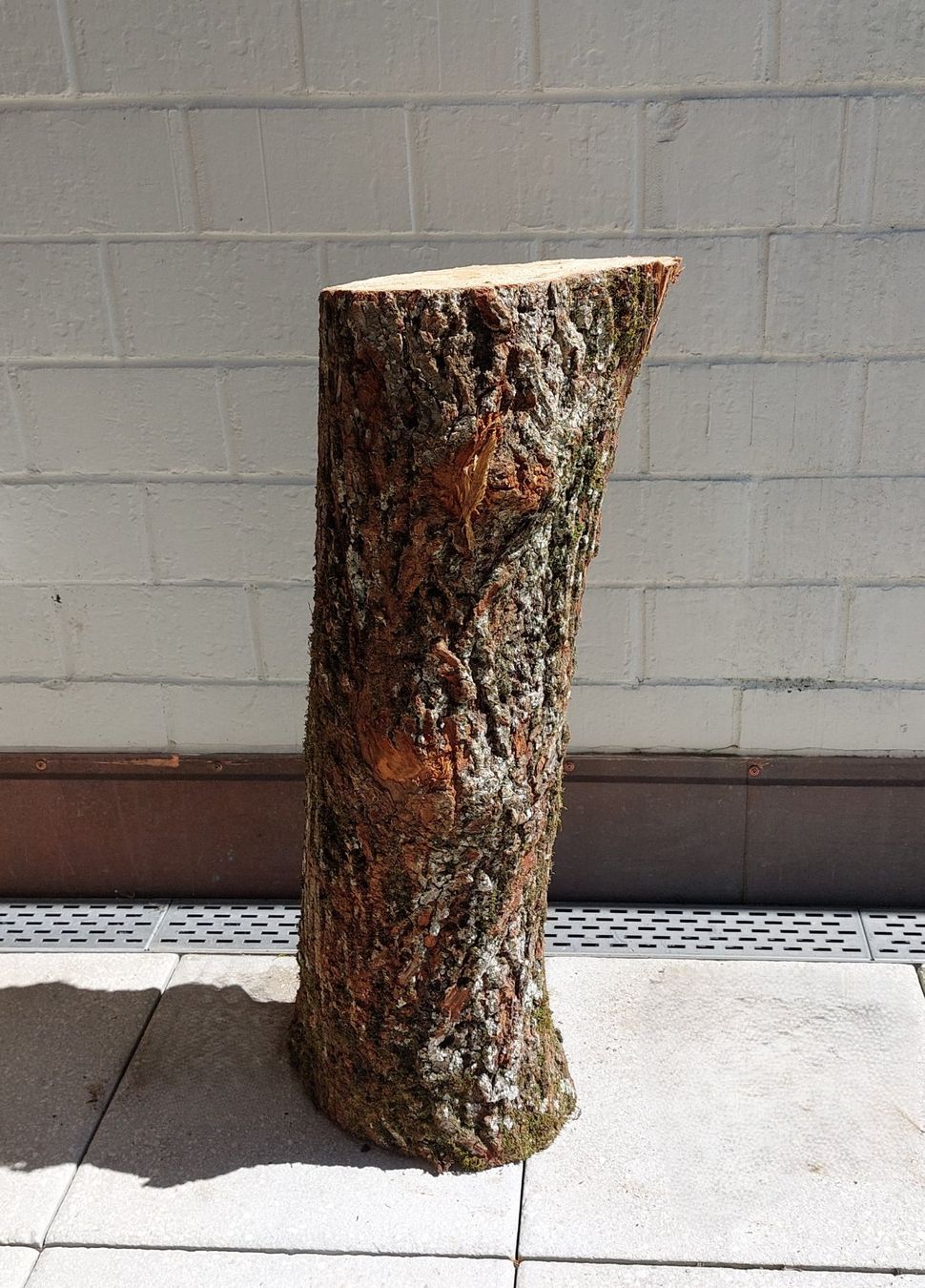 Holzartikel: Holzstamm / Chemine, Deko, Hackstock, Rundholz, Scheitstock – Neu (gemäss Beschreibung) aus Bergdietikon von lop01 3