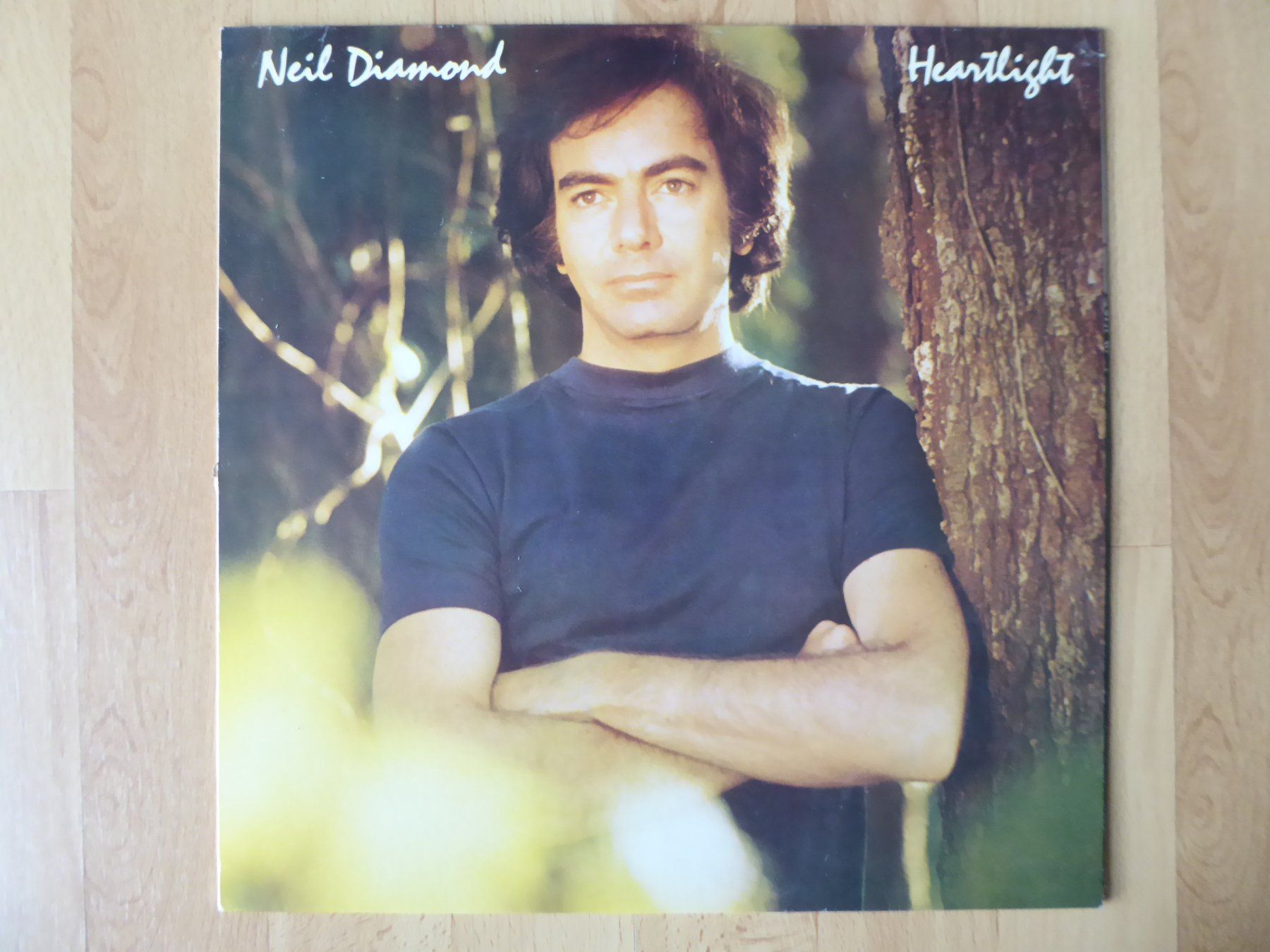 Dischi in vinile: Neil Diamond - Heartlight – Usato da Aeugst am Albis venduto da Drayprescot