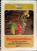 VdGV Beerenobstbau im Hausgarten und im Erwerbsanbau/ Neu
