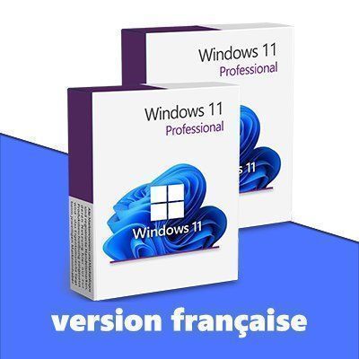 Microsoft Applications: Windows 11 Professional (2 Keys) – D'occasion à Vaduz par KeysDistributionGmbH