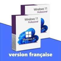 Windows 11 Professional (2 Keys)