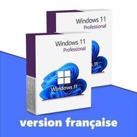 Windows 11 Professional (2 Product Keys) - FR