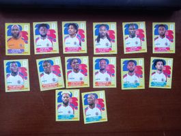 Stickers Panini World Cup 2026 Team HAI