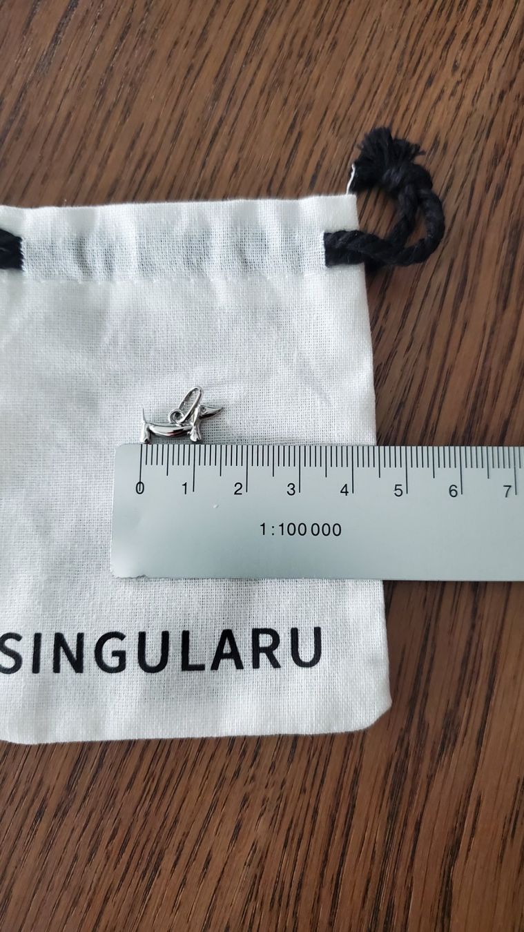 Anhänger: Anhänger Hund Silber – Neu und originalverpackt aus Interlaken von mar_65xg 2