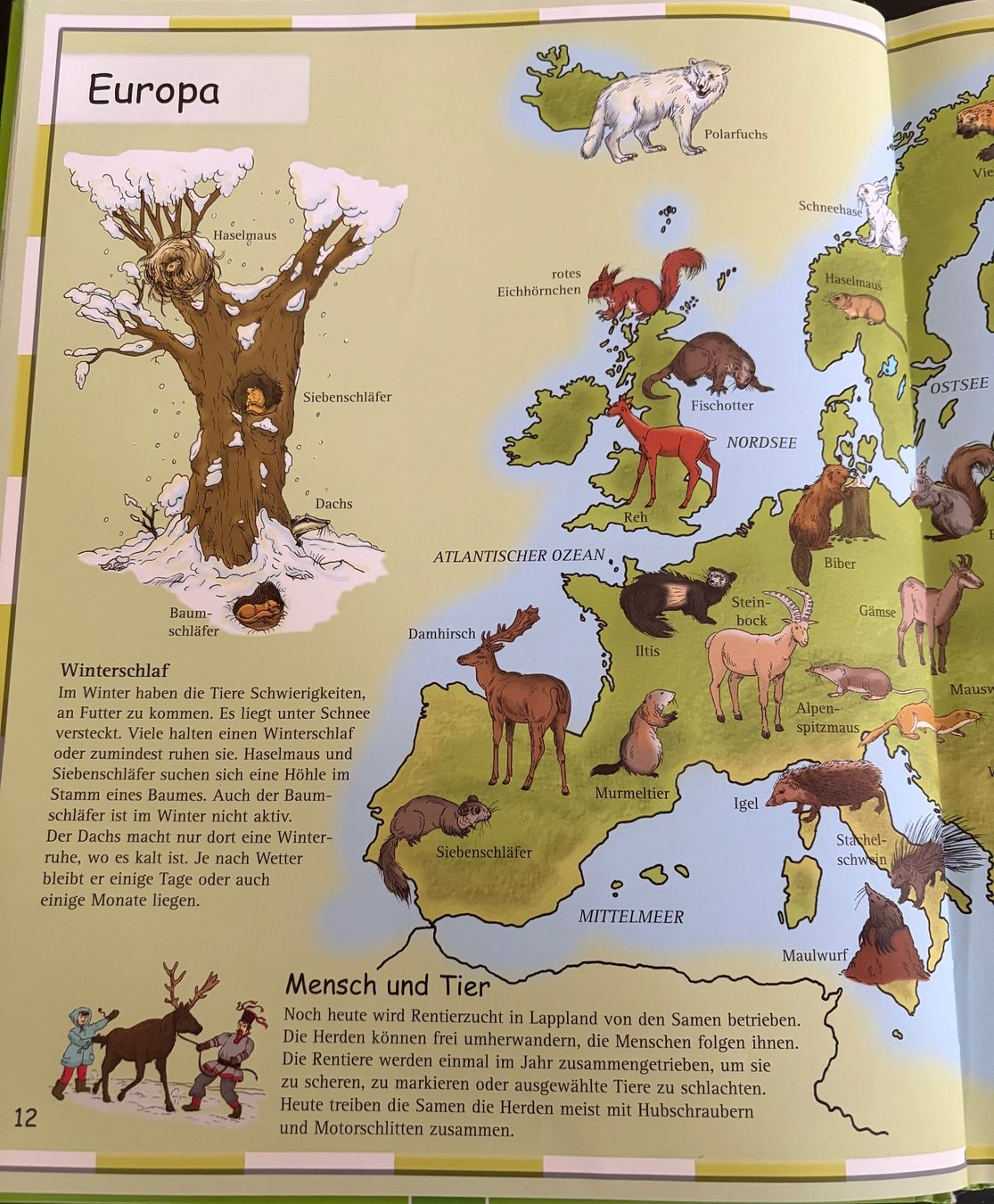 Libri: Kinderatlas ,,Tiere“ – Usato da Adliswil venduto da Myxin 3