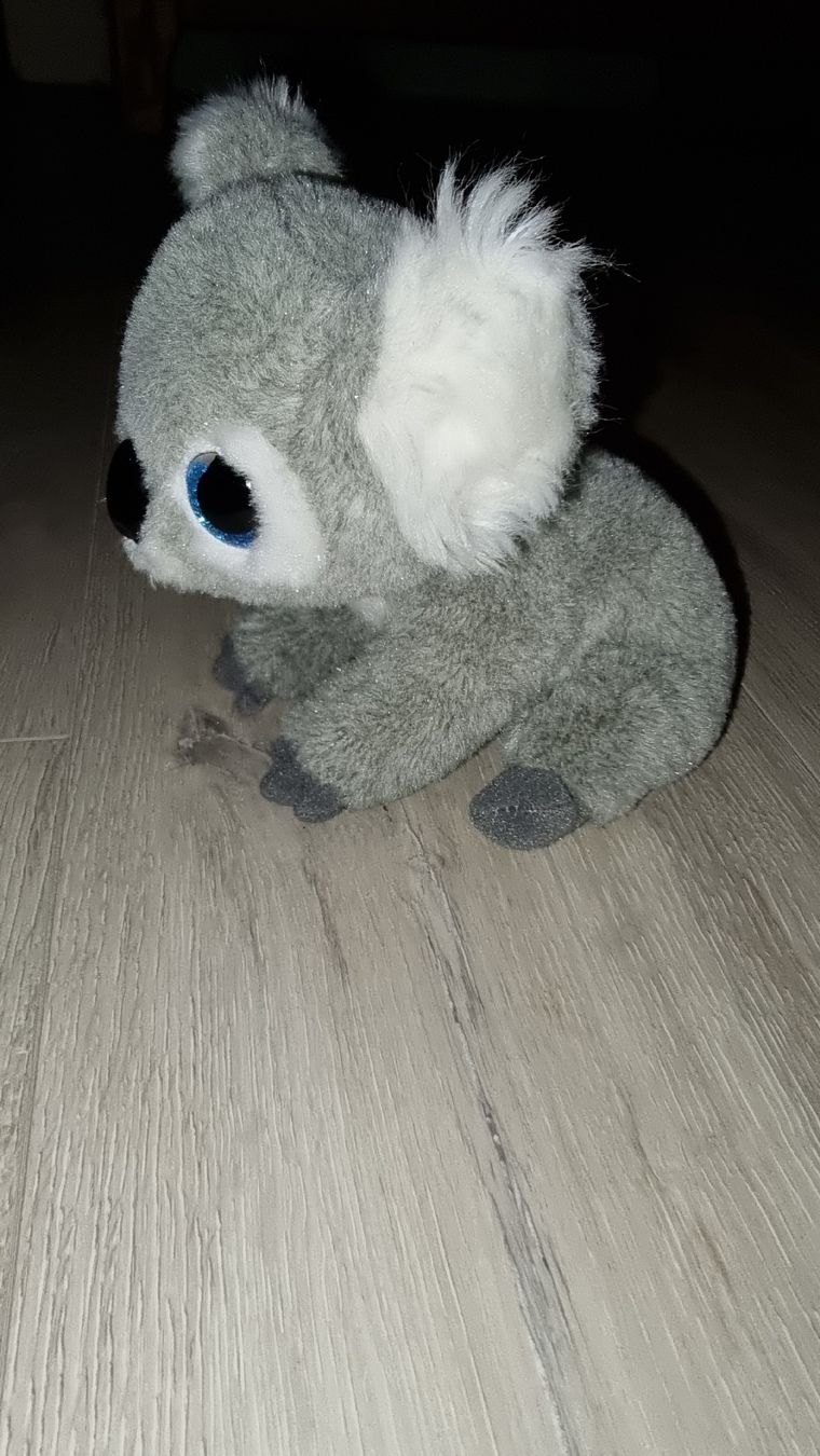 Spielzeuge: Süsser Koala Plüschtier Kuscheltier Stofftier – Gebraucht aus Wigoltingen von Zuckerfee84 1