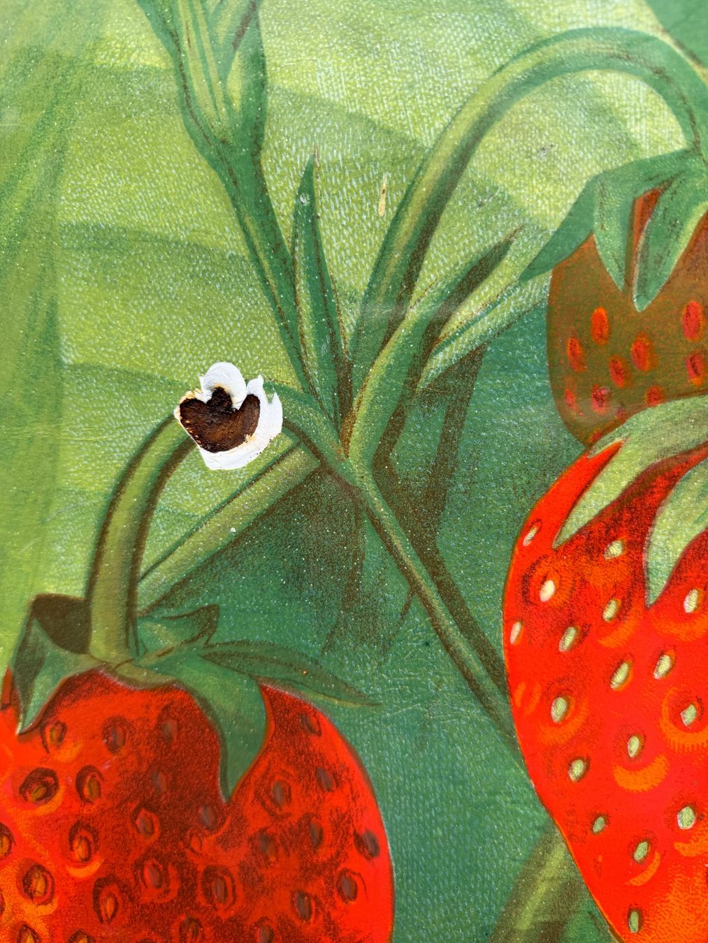 Insegne: Emailschild Hero Erdbeeren – Usato da Bern venduto da mb.kitsune 8