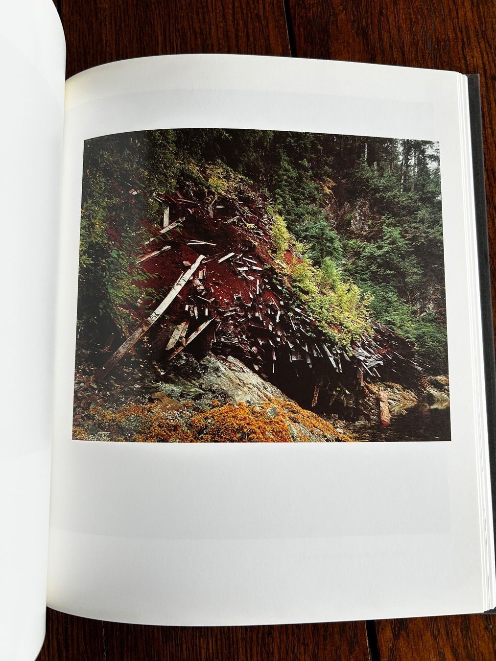 Libri: Stan Douglas - Vancouver Art Gallery – Usato da Basel venduto da Chamisso 5