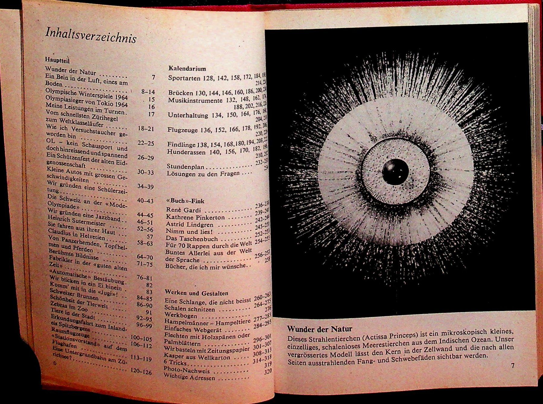 Calendari: Pestalozzi Kalender 1966 – Usato da Reitnau venduto da Zaomir 3
