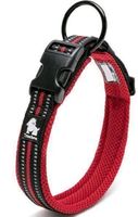 Hundehalsband rot S weich gepolstert 35-40 cm reflektierend
