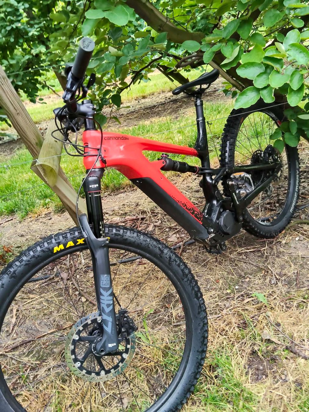 Cannondale Biciclette: Canondale Moterra – Usato da Künten venduto da Rumen74