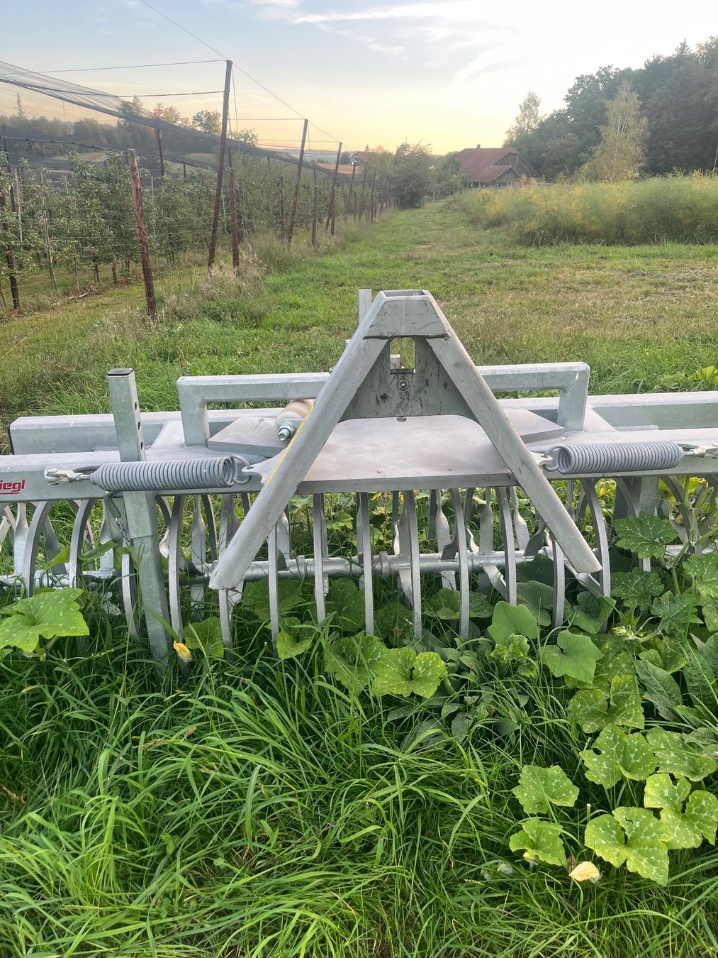 Alle Maschinen: Fliegl Frontpacker (Messerwalze) – Gebraucht aus Vordemwald von hof_4803 2