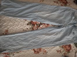 Jeans chicorée