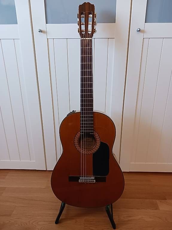 Instruments de musique: Takamine Flamencogitarre – D'occasion à Weinfelden par ake_g278