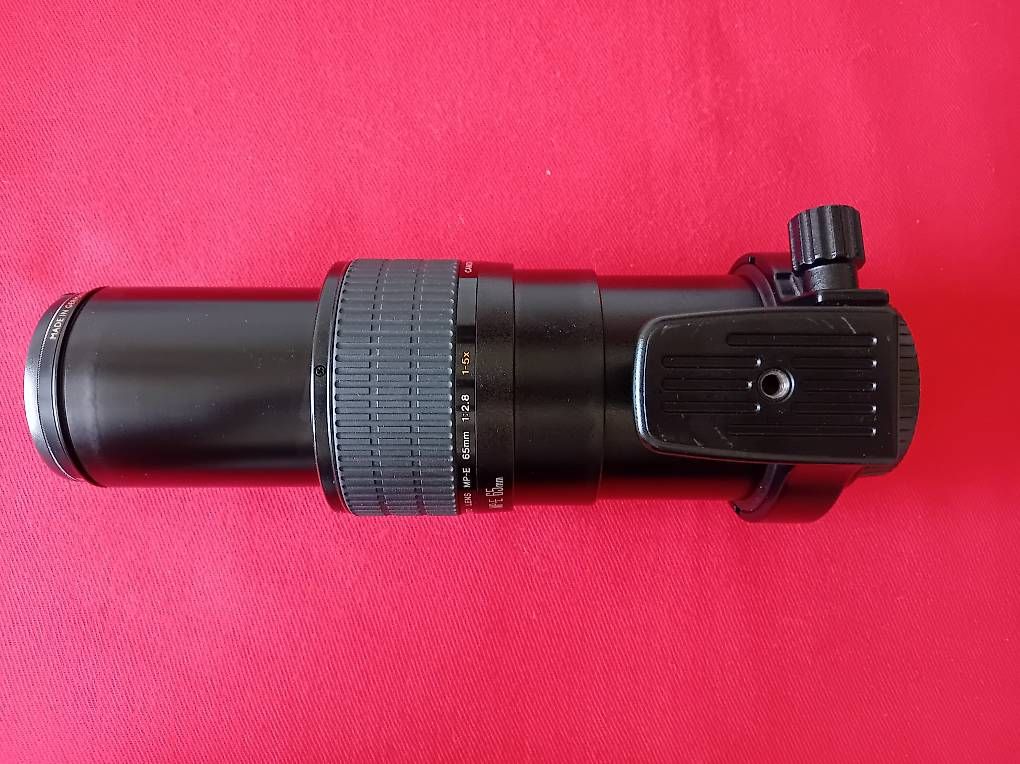 Canon Obiettivi: CANON EF MACRO MP-E 65 TOP ZUSTAND – Usato da Ostermundigen venduto da Lightningp-38j 4
